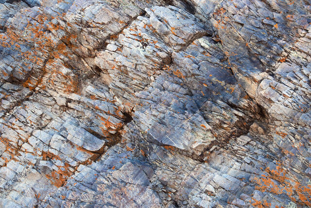 Rocky Blues