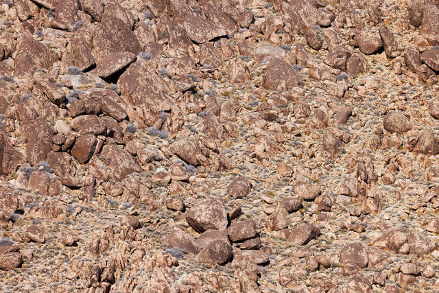 Rounded Rocks