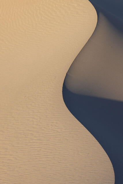S Shadow