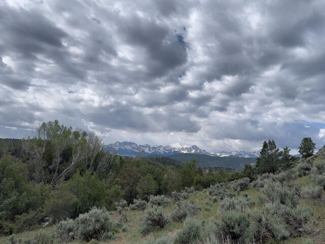 Sage Storm