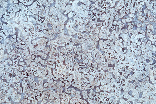 Salt Erosion