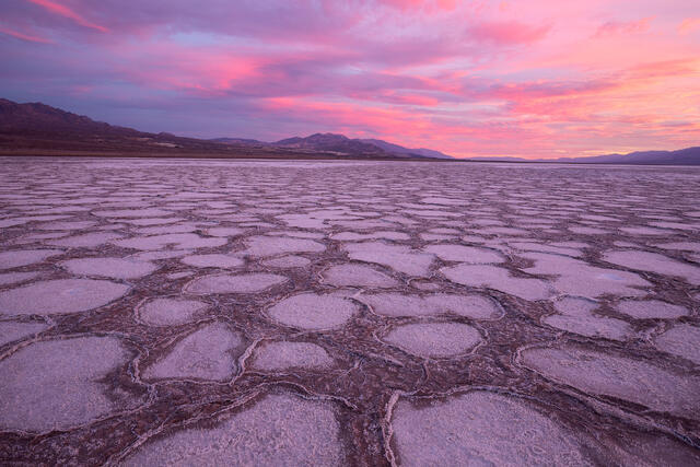 Salt Glow