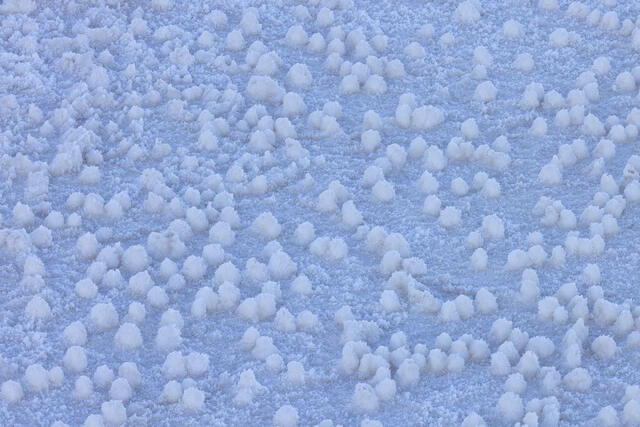 Salt Sculptures