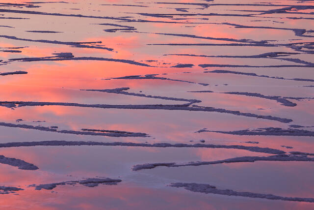 Salty Reflections