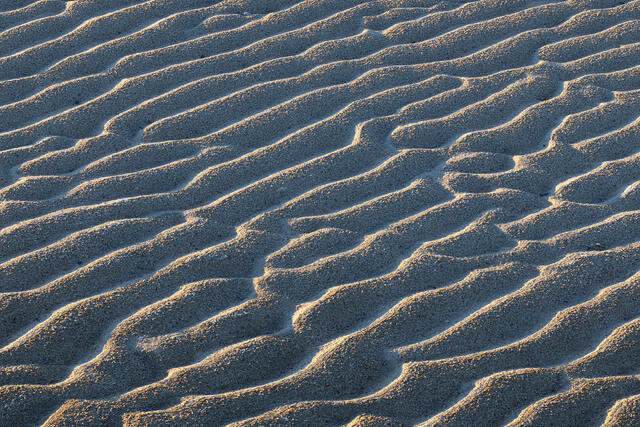 Sand Folds