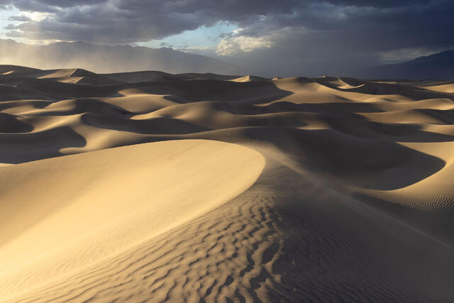 Sand Shadows