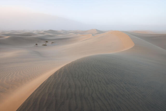 Sand Swept Dawn