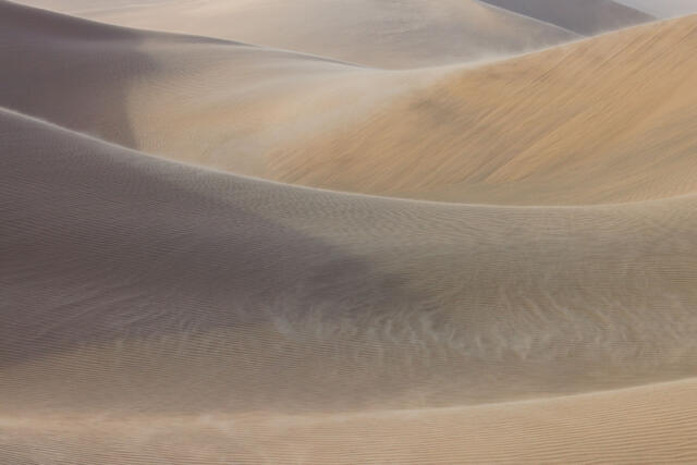 Sandswept