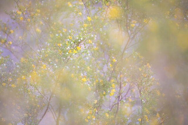 In Transition