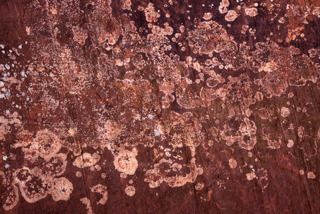 Splattered