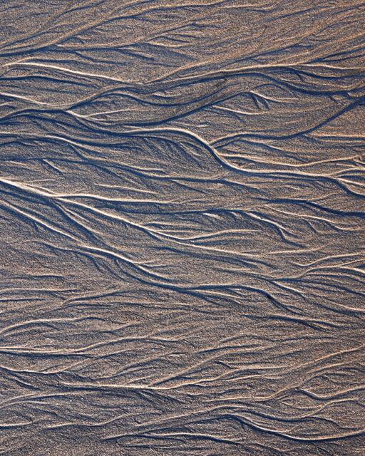 Sand Feathers