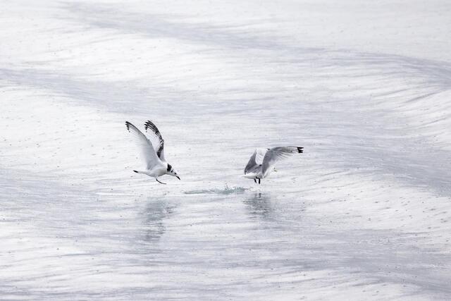 Landing, Taking Off