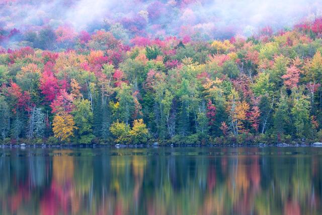 Autumn Spectrum 