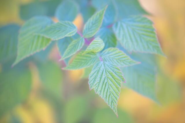 On the Verge of Autumn
