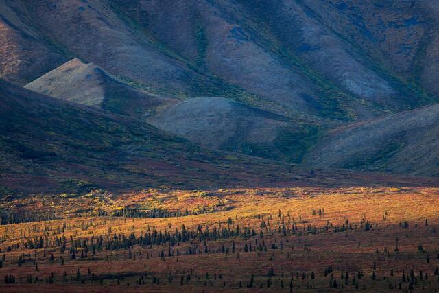 Swath of Light