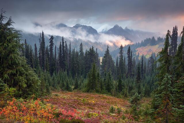 Autumn Splendor