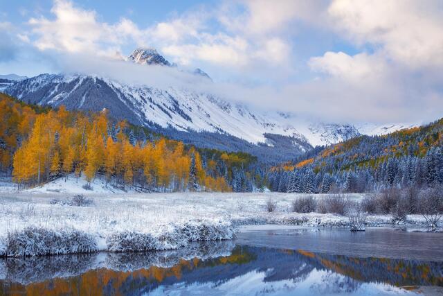 Colorado - Autumn
