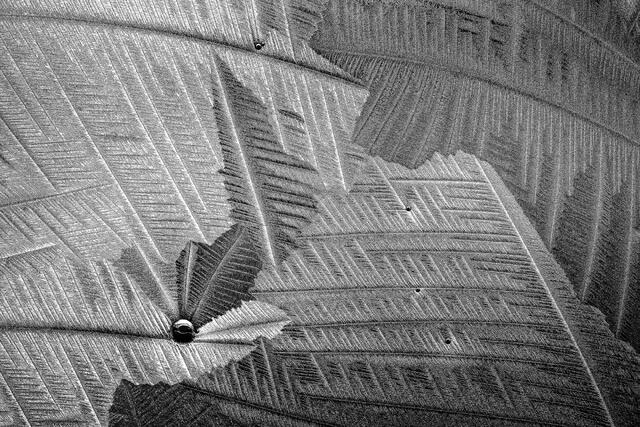 Lines and Bubbles