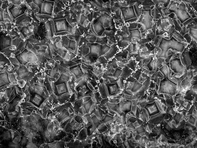 Brackish Patterns
