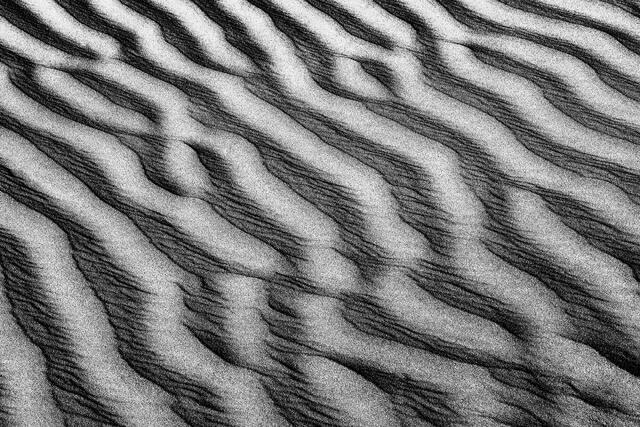 Sand Feathers