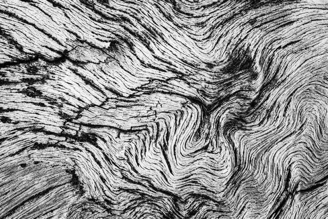 Topography