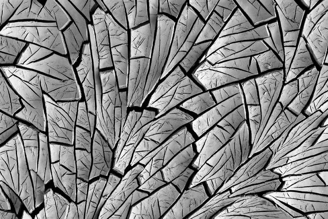 Angular Mud Cracks