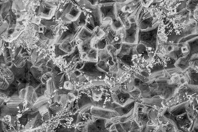 Saltscape