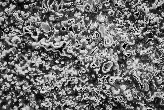 Salt Bubbles