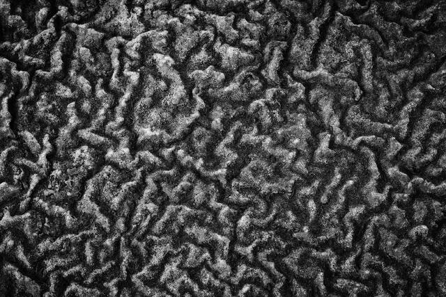 Crinkle
