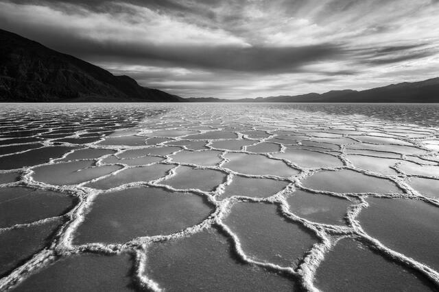 Flooded Polygons