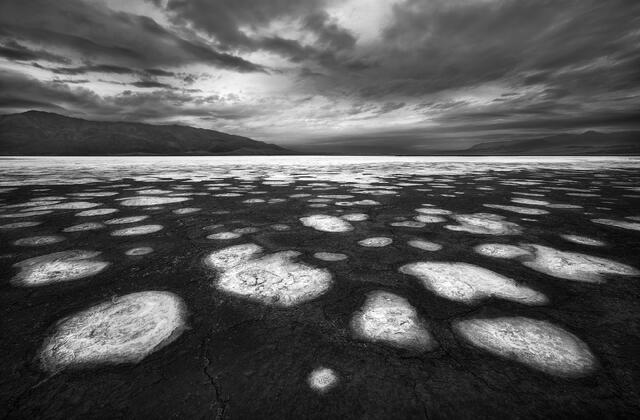 Circles of Salt