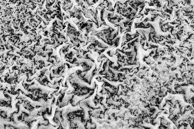 Topographic Map