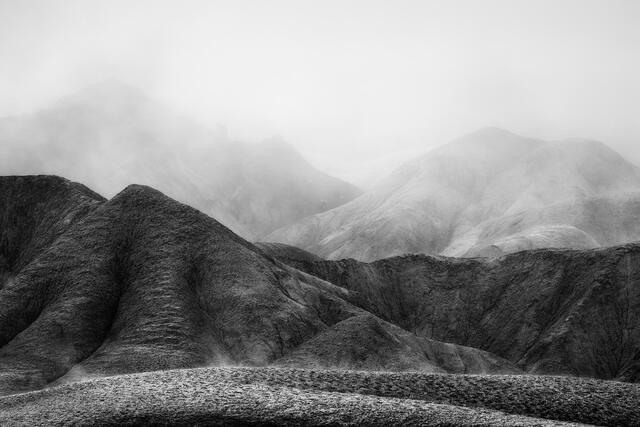 Emergence
