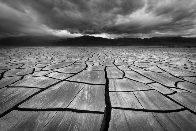 Mojave Mud Cracks