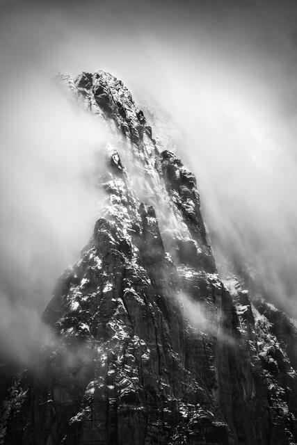 Winter Watchman