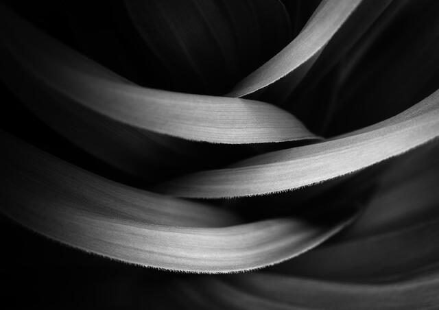 Interwoven