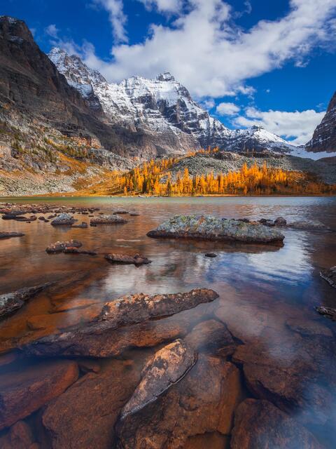 Autumn Daydream