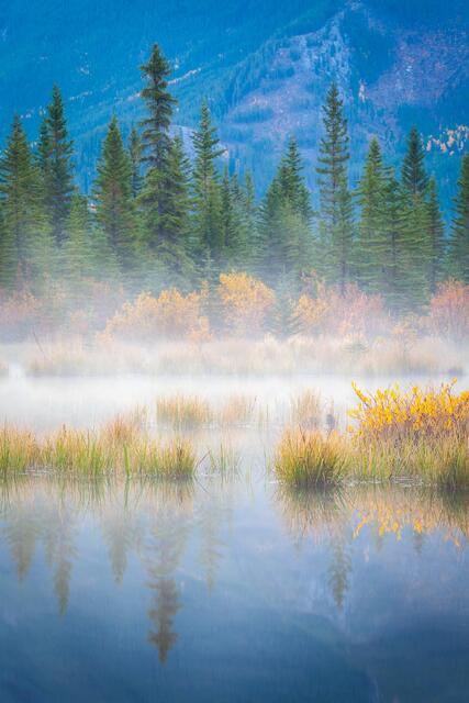 Quiet Morning