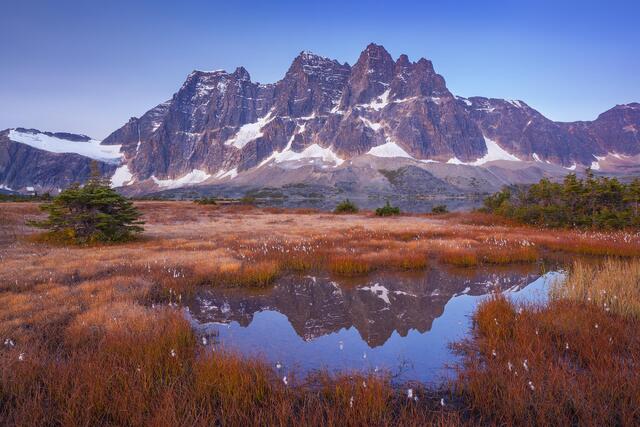 Autumn Ramparts