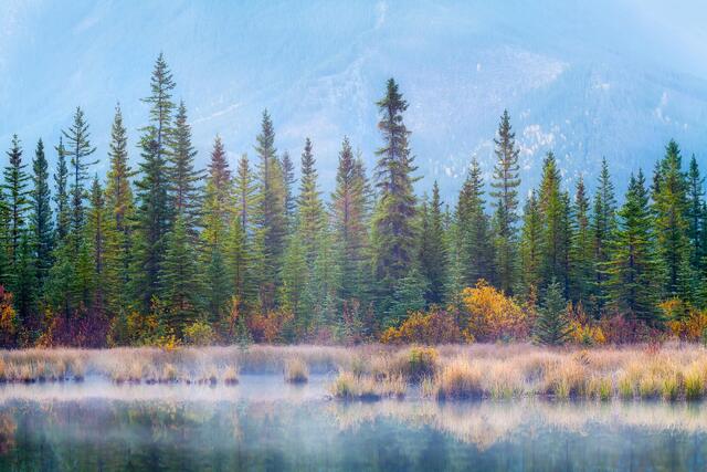 Morning Mists