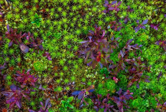 Gifts of Autumn