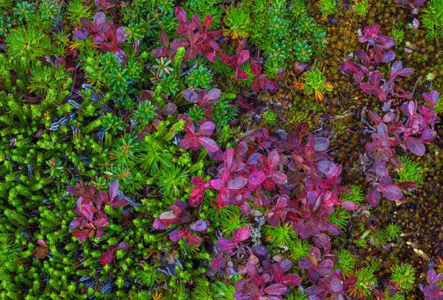 Autumn Assortment