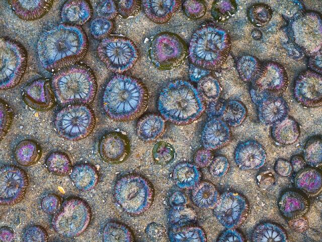 Jewels