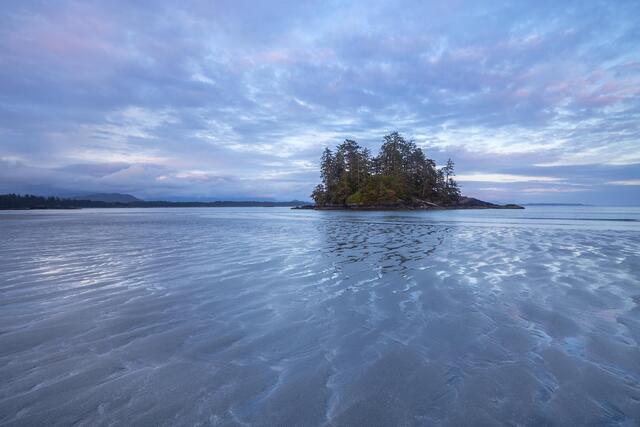 Tiny Island