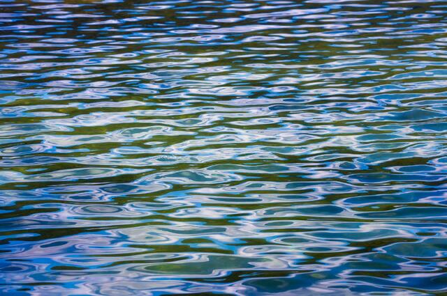 Wave Forms