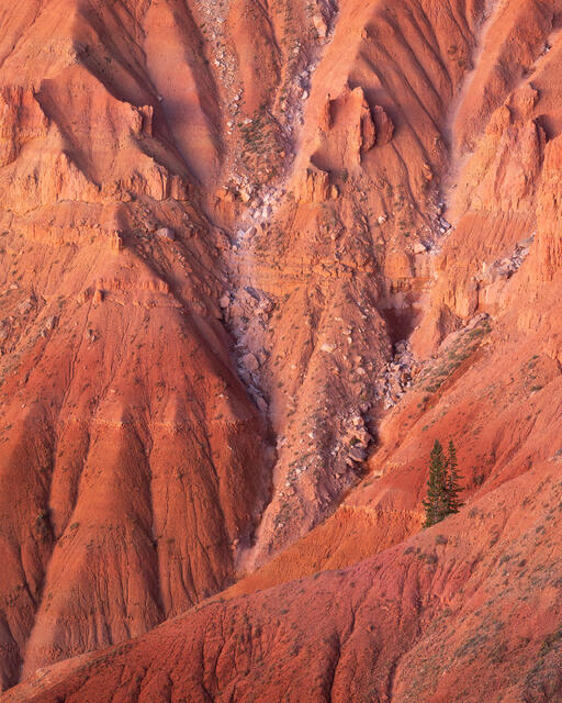 Sense of Scale