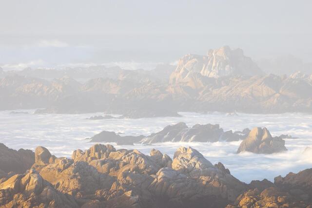 Sea Mist