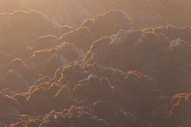 Frilly Edges