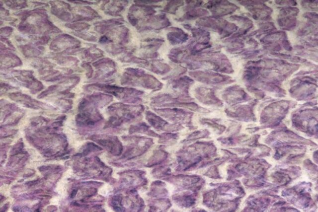 Pink and Purple Matrix