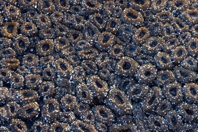 Sea of Anemones